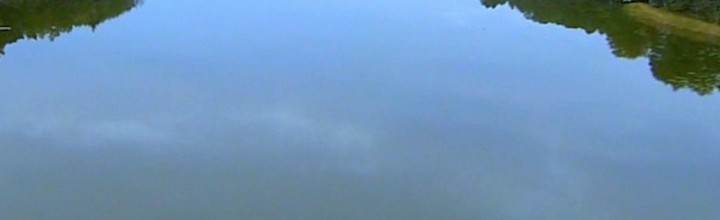 „Budżetowy” Showreel 2013