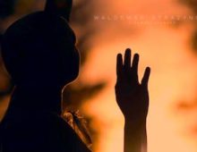 Vavamuffin – Mandala – 2017