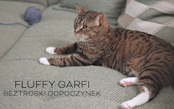 Fluffy Garfi